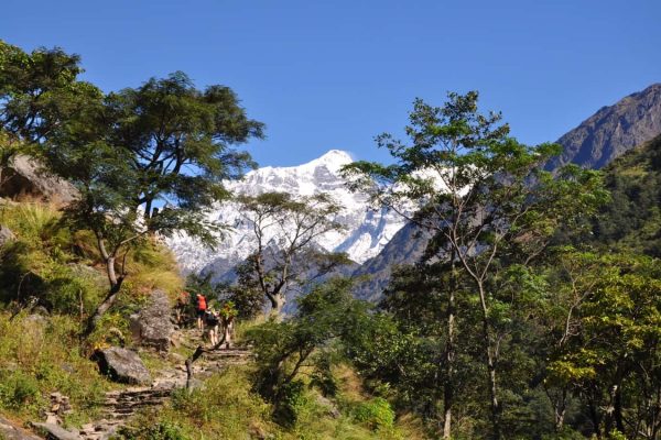Nepal Trekking Wanderung mit Blick auf Gletscher